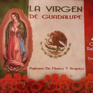 la virgen de guadalupe  patrona  de mexico y america 45 cantos religiosos 2 disc